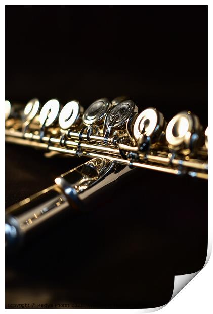 Abstract Silver Flute Print by Reidy's Photos