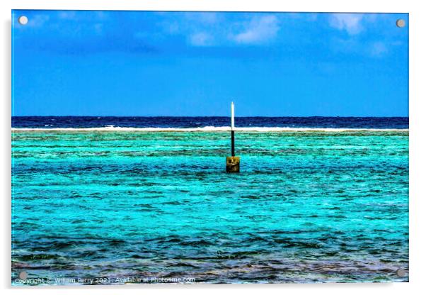 Colorful Blue Water Moorea Tahiti Acrylic by William Perry