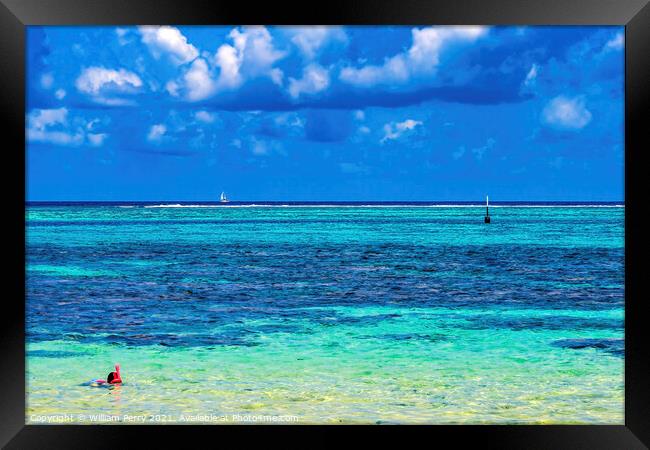 Snorkeling Swimming Colorful Blue Water Moorea Tahiti Framed Print by William Perry