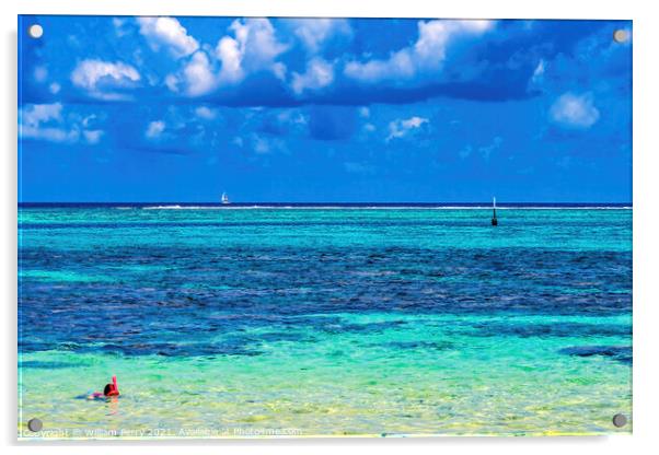 Snorkeling Swimming Colorful Blue Water Moorea Tahiti Acrylic by William Perry
