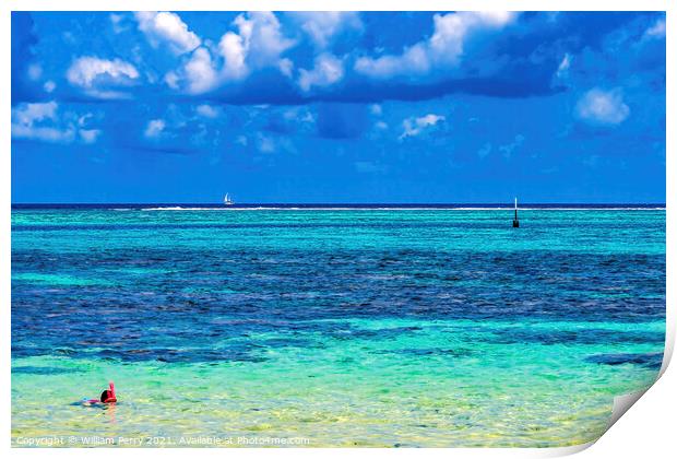 Snorkeling Swimming Colorful Blue Water Moorea Tahiti Print by William Perry