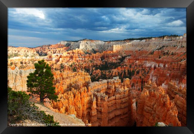 Looking towards Inspiration Point from near Sunrise Point, Bryce Canyon, Utah, USA Framed Print by Geraint Tellem ARPS