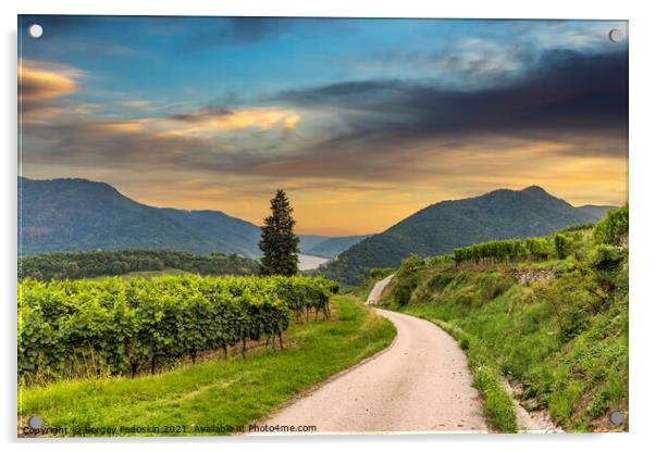 Road between vineyard in Wachau valley. Acrylic by Sergey Fedoskin
