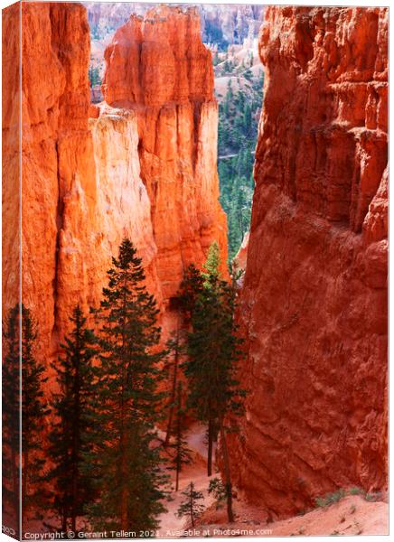 Navajo Loop trail descending from Sunrise Point, Bryce Canyon, Utah, USA Canvas Print by Geraint Tellem ARPS