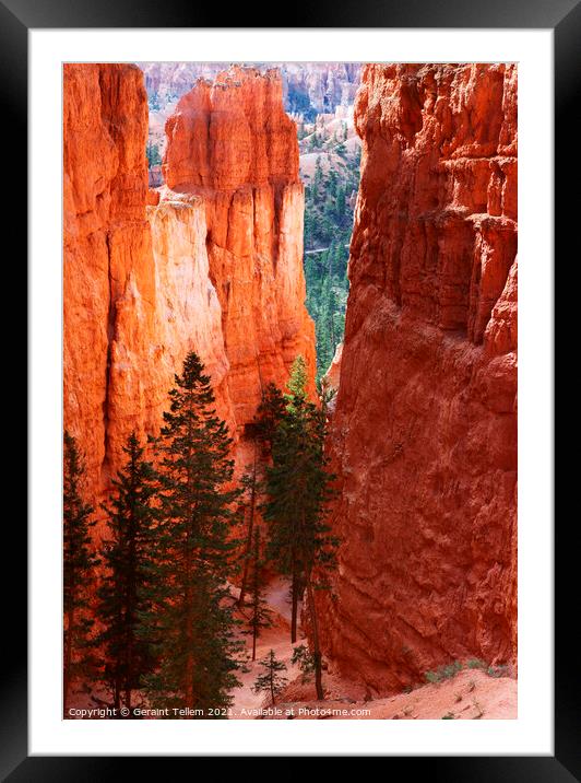 Navajo Loop trail descending from Sunrise Point, Bryce Canyon, Utah, USA Framed Mounted Print by Geraint Tellem ARPS