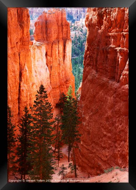 Navajo Loop trail descending from Sunrise Point, Bryce Canyon, Utah, USA Framed Print by Geraint Tellem ARPS