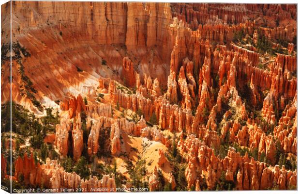 Bryce Canyon from Inspiration Point, Utah, USA Canvas Print by Geraint Tellem ARPS