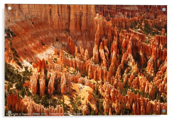 Bryce Canyon from Inspiration Point, Utah, USA Acrylic by Geraint Tellem ARPS
