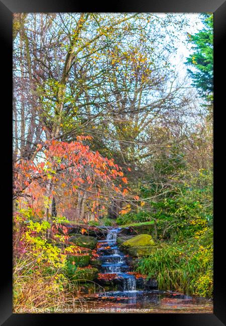 Sefton Park Autumnal Colours Framed Print by Phil Longfoot
