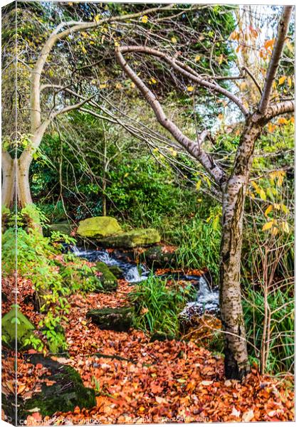 Beautiful autumnal cascade  Canvas Print by Phil Longfoot