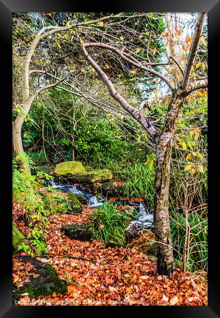 Beautiful autumnal cascade  Framed Print by Phil Longfoot