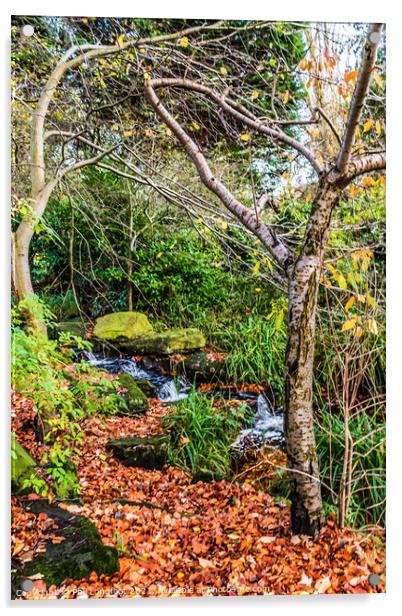 Beautiful autumnal cascade  Acrylic by Phil Longfoot