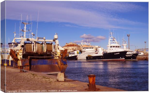 French fishing boats in Sete Canvas Print by Ann Biddlecombe