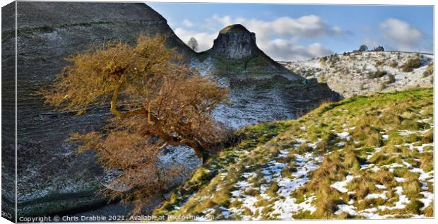 A Winter's day at Peter's Stone Canvas Print by Chris Drabble