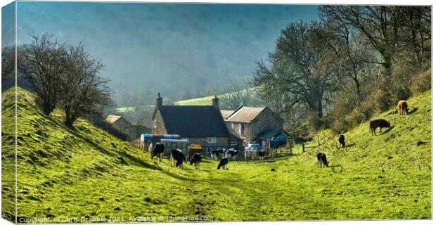 Dale End Farm, the Manifold Valley Canvas Print by Chris Drabble