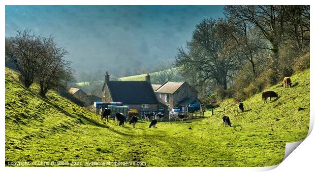 Dale End Farm, the Manifold Valley Print by Chris Drabble