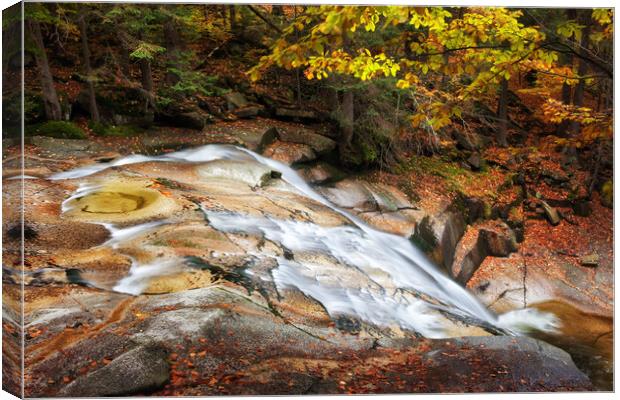 Mountain River In Autumn Canvas Print by Artur Bogacki