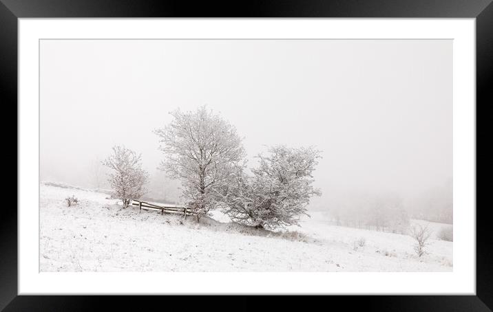 Snowy Trees In The Mist Framed Mounted Print by Phil Durkin DPAGB BPE4