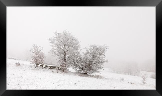 Snowy Trees In The Mist Framed Print by Phil Durkin DPAGB BPE4