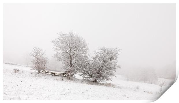 Snowy Trees In The Mist Print by Phil Durkin DPAGB BPE4