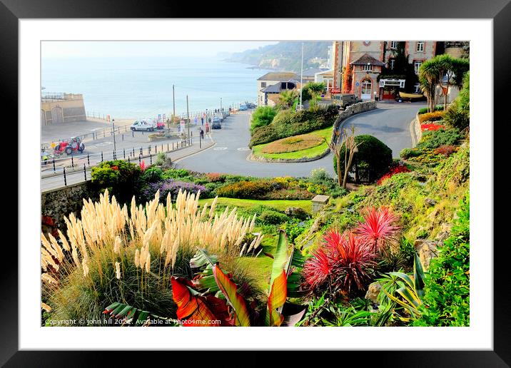 Ventnor Municipal Gardens on the Isle of Wight. Framed Mounted Print by john hill