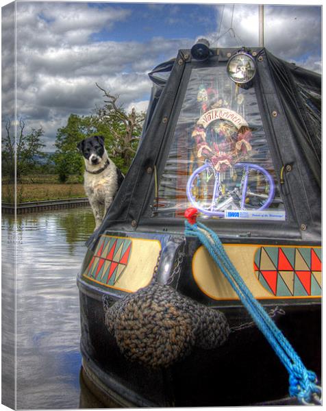 A Dogs Life Afloat Canvas Print by Mike Sherman Photog