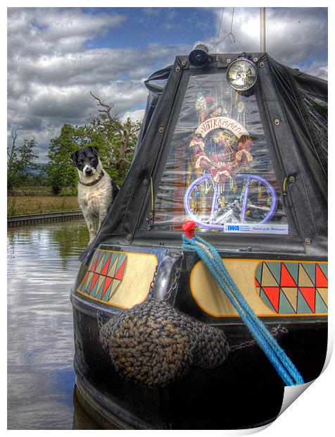 A Dogs Life Afloat Print by Mike Sherman Photog