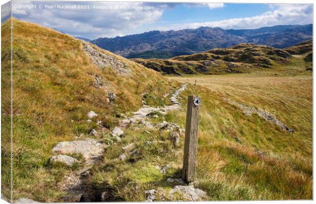 Upland Path in Snowdonia Canvas Print by Pearl Bucknall