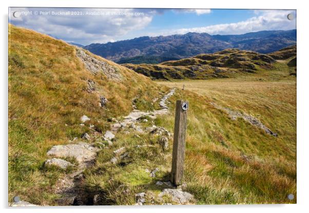 Upland Path in Snowdonia Acrylic by Pearl Bucknall