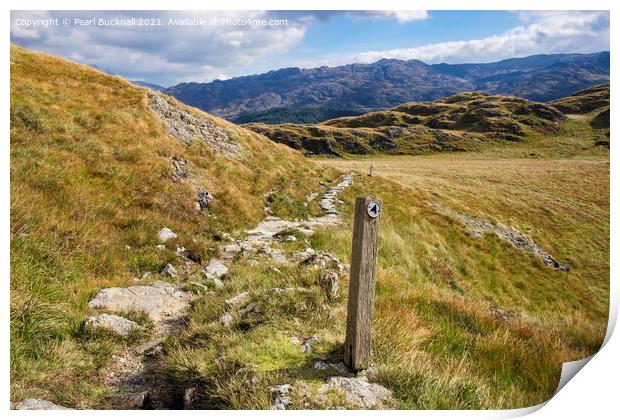 Upland Path in Snowdonia Print by Pearl Bucknall
