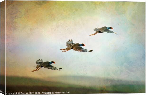 Trio of waterbirds take to the air ... Canvas Print by Paul W. Kerr