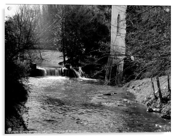 Stream in Carcassonne. black and white Acrylic by Ann Biddlecombe