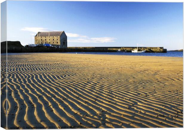 The Granary, Elie Canvas Print by Adrian Snowball