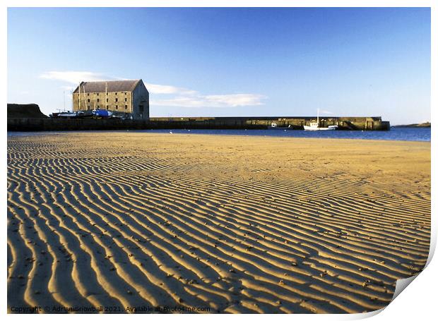 The Granary, Elie Print by Adrian Snowball