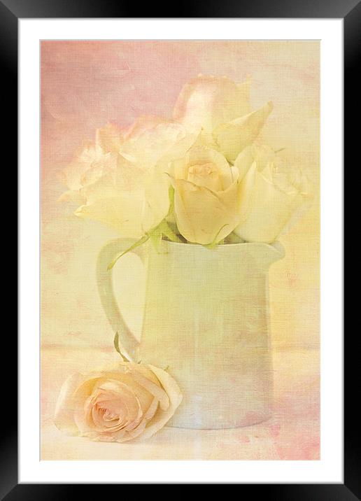 Marshmallow Roses Framed Mounted Print by Sandra Pledger