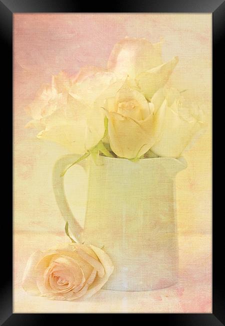 Marshmallow Roses Framed Print by Sandra Pledger