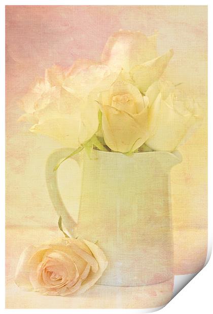 Marshmallow Roses Print by Sandra Pledger
