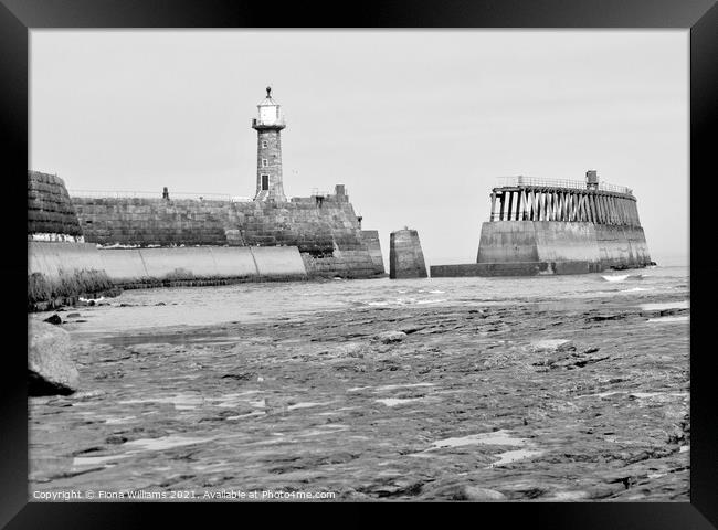 View from Whitby Rock  Framed Print by Fiona Williams