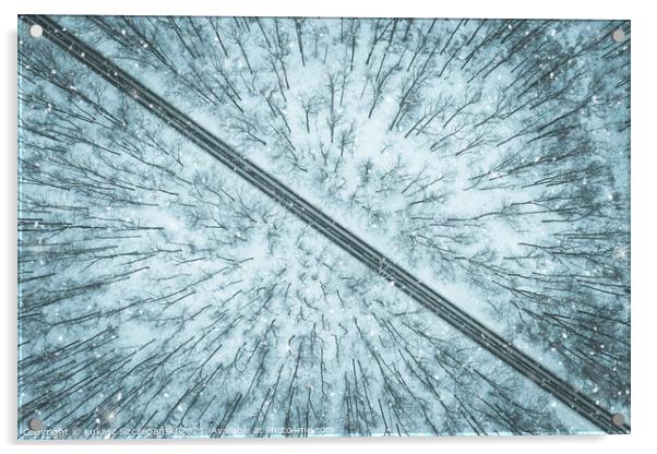 Road through winter forest Acrylic by Łukasz Szczepański