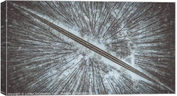 Road through winter forest Canvas Print by Łukasz Szczepański