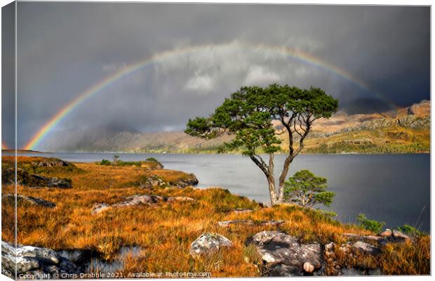 Rainbow at Loch Maree Canvas Print by Chris Drabble