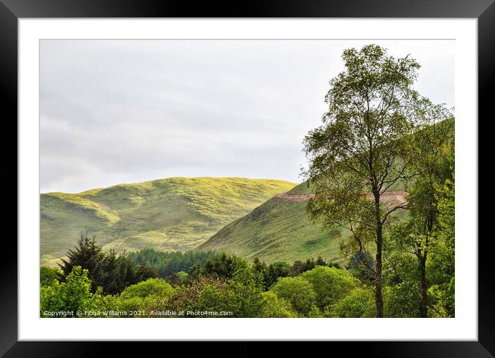 Ettrick Hills Framed Mounted Print by Fiona Williams
