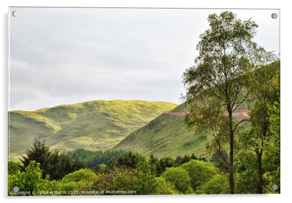 Ettrick Hills Acrylic by Fiona Williams