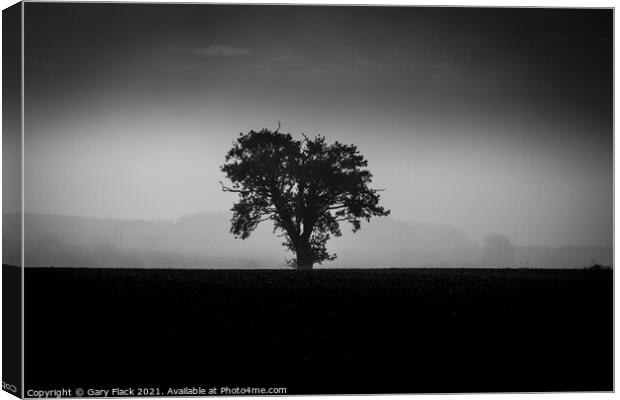 Louth Lincolnshire, Misty lone tree on a ploughed field in Back and White Canvas Print by That Foto