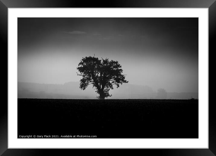 Louth Lincolnshire, Misty lone tree on a ploughed field in Back and White Framed Mounted Print by That Foto