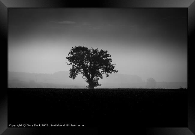 Louth Lincolnshire, Misty lone tree on a ploughed field in Back and White Framed Print by That Foto