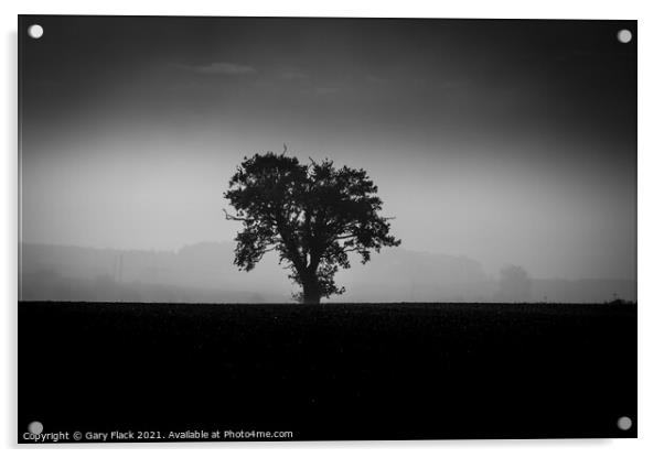 Louth Lincolnshire, Misty lone tree on a ploughed field in Back and White Acrylic by That Foto