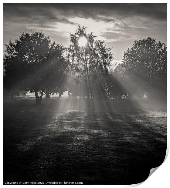 Doncaseter Autumn early morning on a misty day Print by That Foto