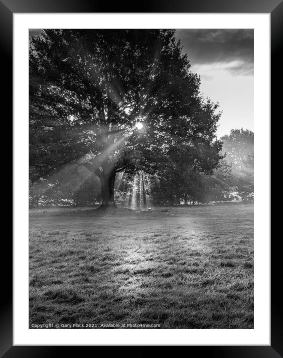 Sunrays coming through the trees at Doncaster Racecourse Framed Mounted Print by That Foto
