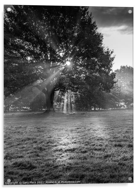 Sunrays coming through the trees at Doncaster Racecourse Acrylic by That Foto